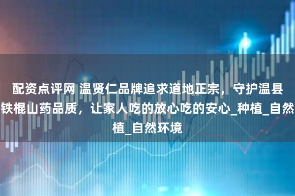 配资点评网 温贤仁品牌追求道地正宗，守护温县垆土铁棍山药品质，让家人吃的放心吃的安心_种植_自然环境
