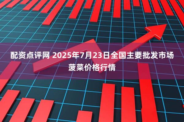 配资点评网 2025年7月23日全国主要批发市场菠菜价格行情